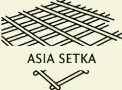 Логотип Азия Сетка